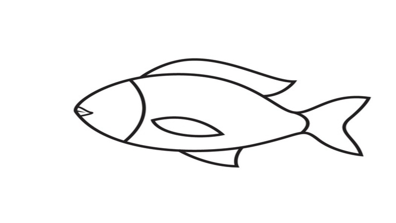 Hình vẽ cá Chép đơn giản mà đẹp sinh động bằng màu nước chì