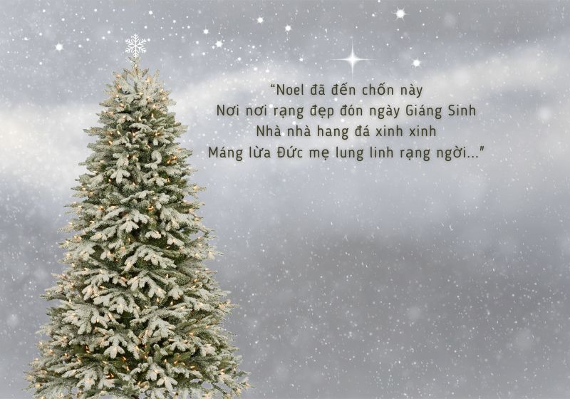 thơ hay về Noel