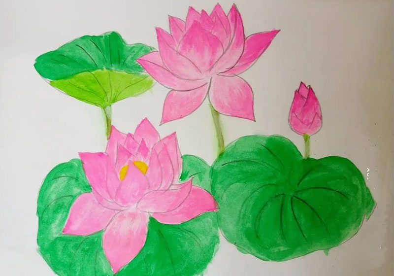 16 hình vẽ hoa sen bằng bút chì tuyệt đẹp  Hoa sen Hình vẽ hoa Hoa