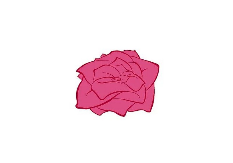 vẽ lá hoa hồng