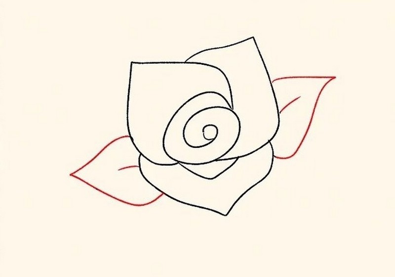 cách vẽ lá hoa hồng