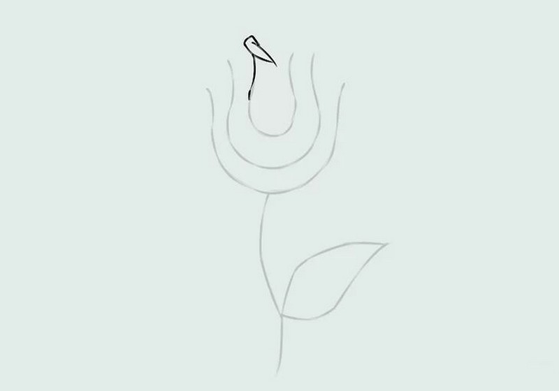 cách vẽ hoa hồng đơn giản