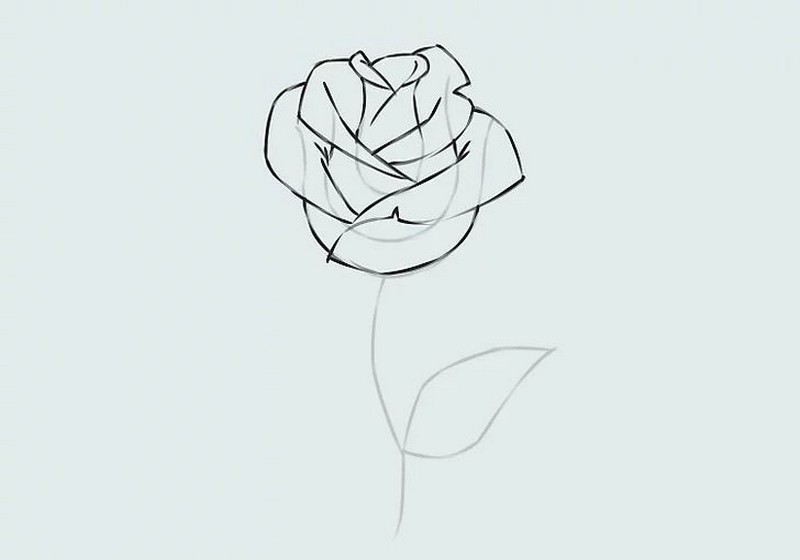 Hình ảnh hoa hồng vẽ bằng bút chì cực đẹp  Hình vẽ hoa hồng Bút chì Hình  ảnh