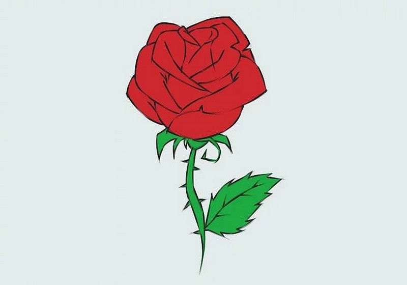 vẽ bình hoa hồng