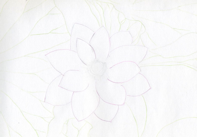 vẽ hoa sen bằng bút chì
