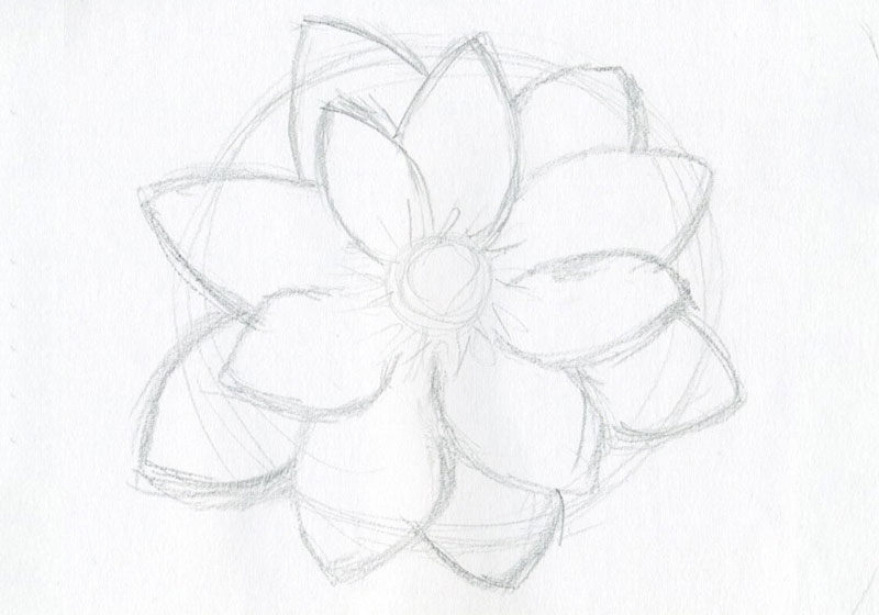 Hướng dẫn vẽ các loài Hoa đơn giản Hoa Hướng Dương Hoa Hồng VẼ ĐƠN GIẢN 3 YouTube