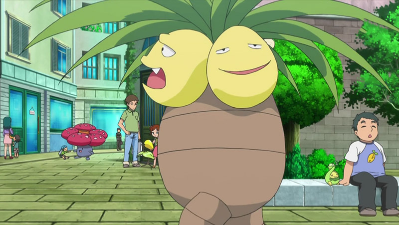 Pokemon Exeggutor xuất thân từ vùng nhiệt đới và mỗi cái đầu lớn lên bằng ánh sáng mặt trời.