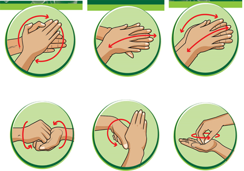 6 bước rửa tay thường quy