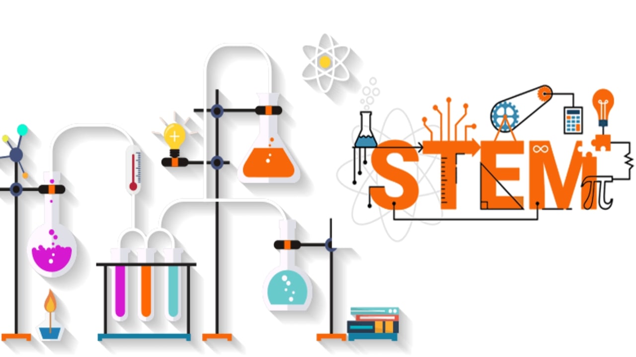stem là gì