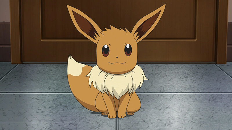 Eevee đã trở thành một trong hai pokemon đời đầu của Satoshi bên cạnh Pikachu.