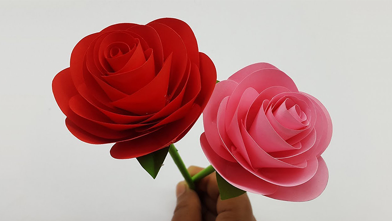Cách làm hoa hồng bằng giấy tặng mẹ
