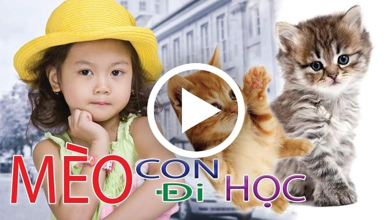 Top 10 Bài Hát Về Con Mèo Cực Hay Cho Trẻ Mầm Non - Pops Kids Blog