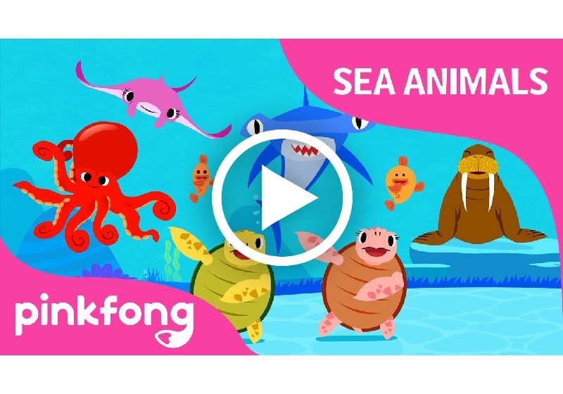 Nhạc trẻ em về con vật sống dưới nước