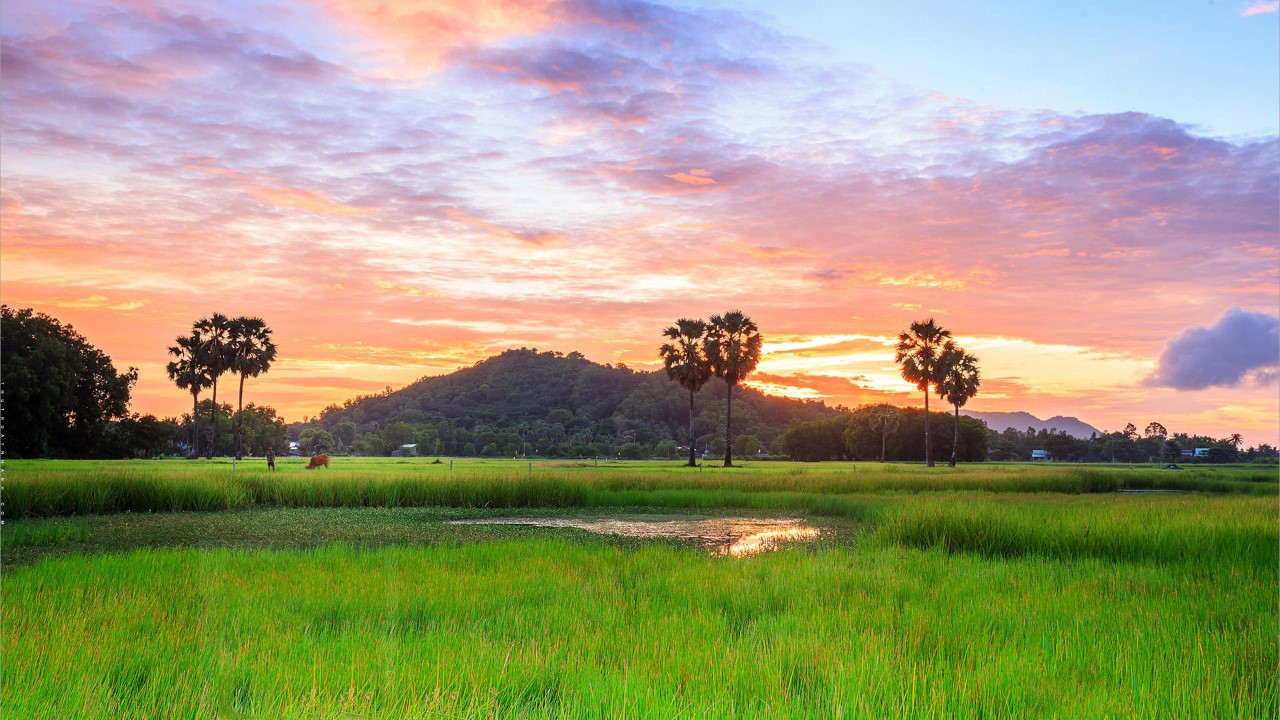 Bài thơ hay bài thơ về cảnh đẹp quê hương lớp 3 về tình yêu quê hương