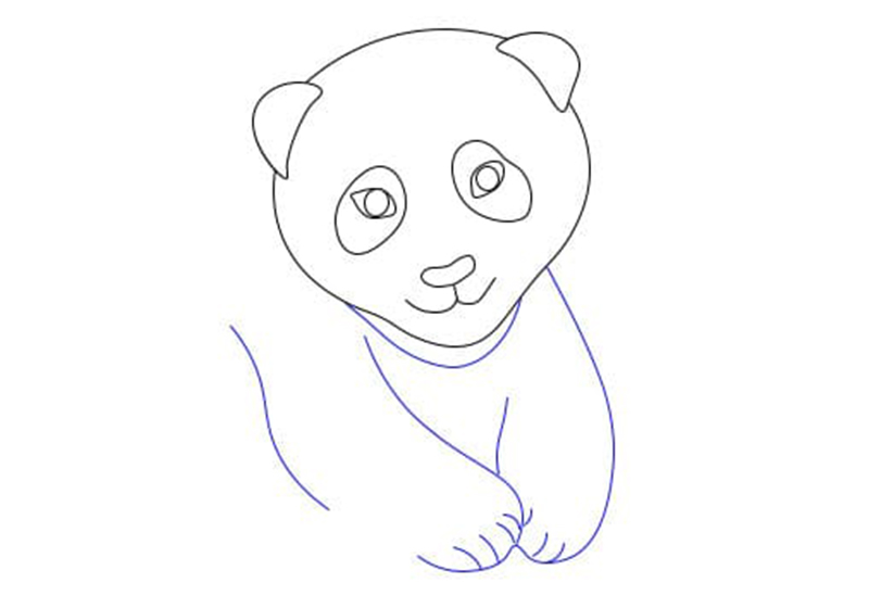 cách vẽ gấu trúc cute