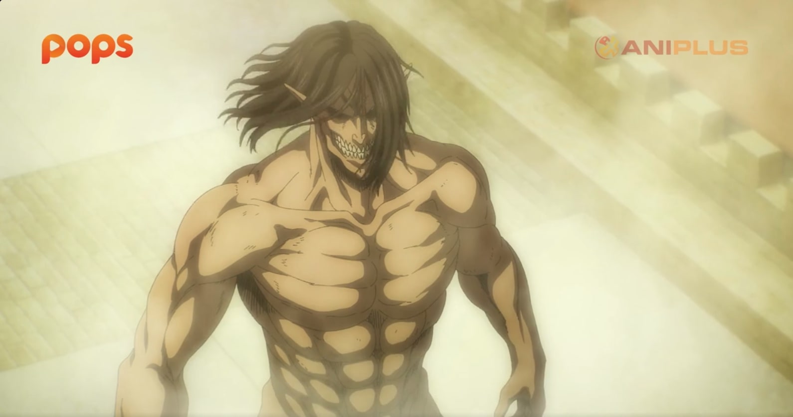 Mikasa ackerman nua