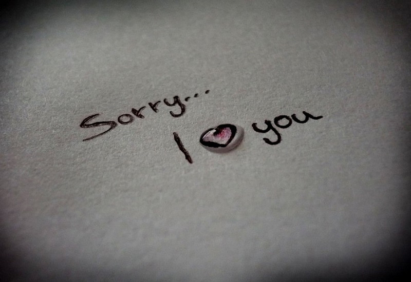 Sorry I Love You - Mai Tròn