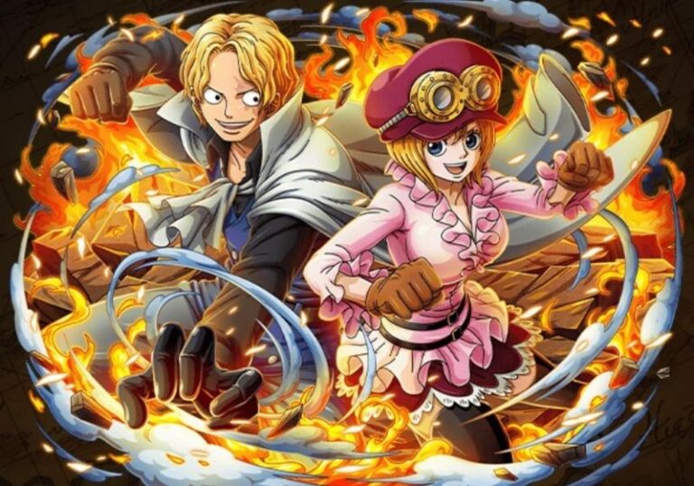 One Piece couple