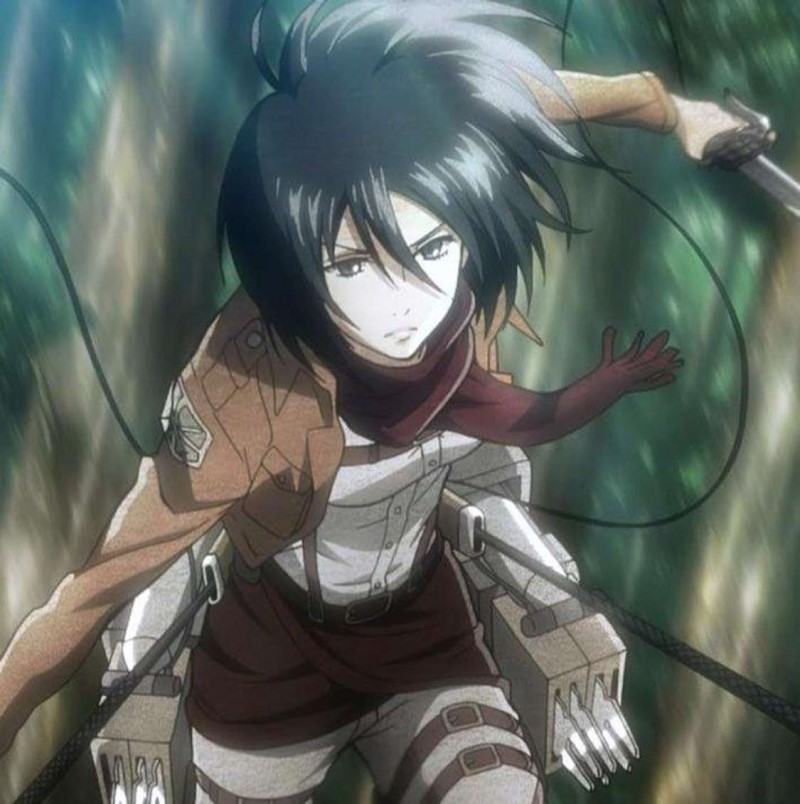 mikasa là một trong những waifu được yêu thích nhất